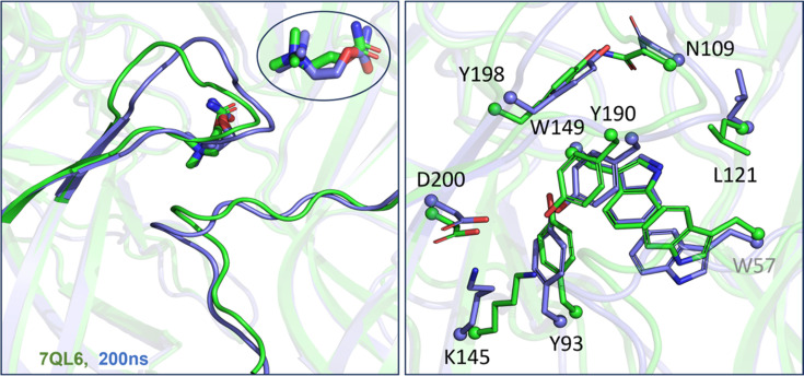 Figure 2—figure supplement 3.