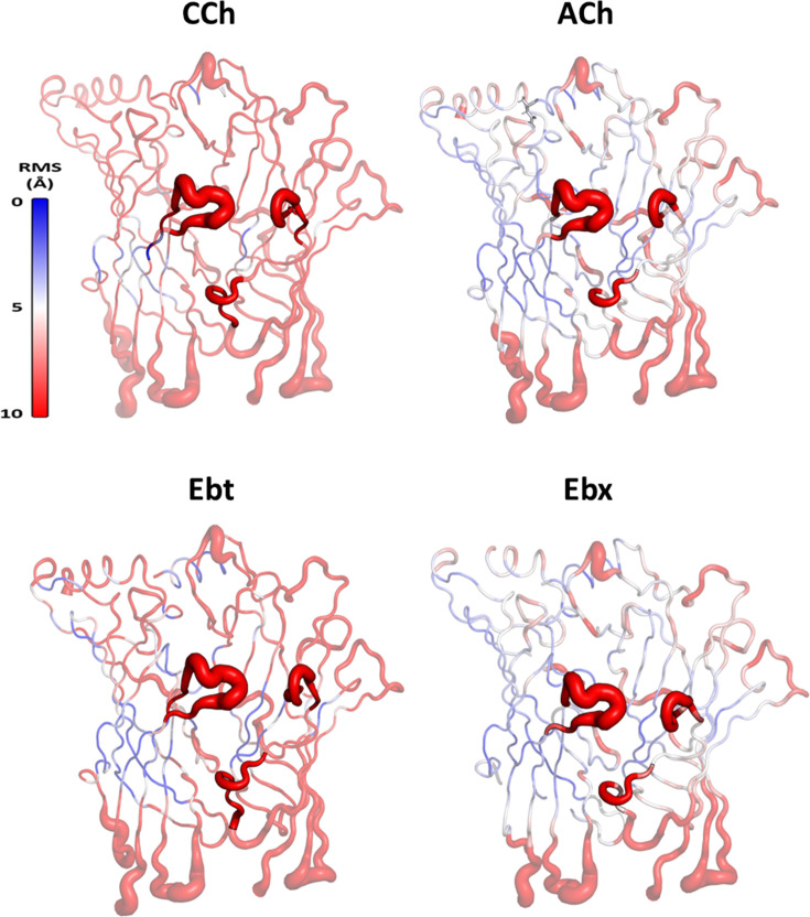 Figure 2—figure supplement 1.