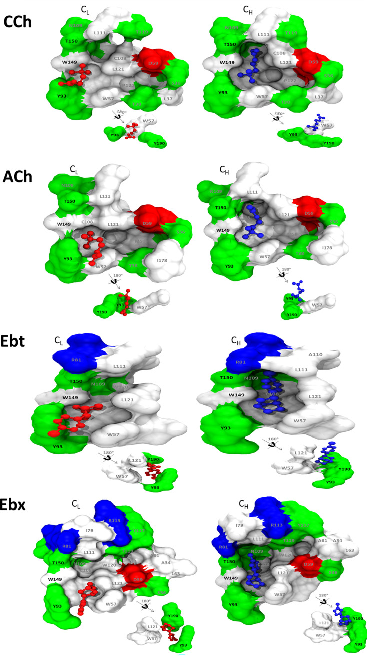 Figure 6—figure supplement 1.