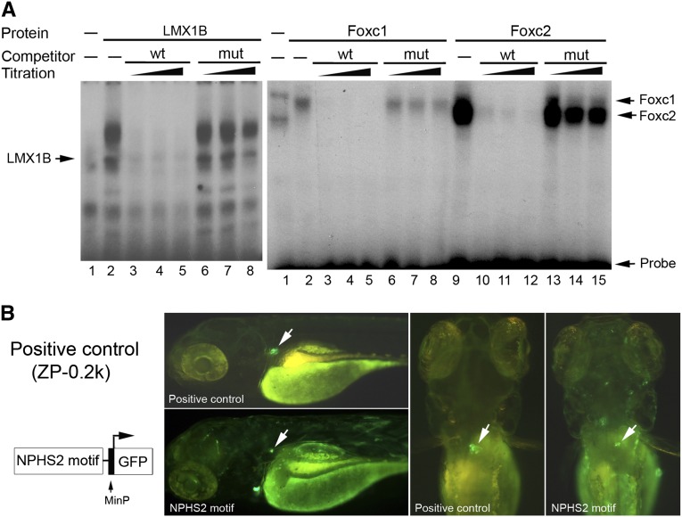 Figure 6.