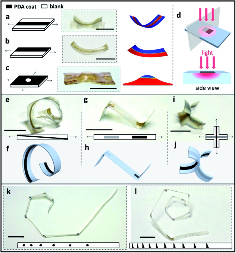 Fig. 2