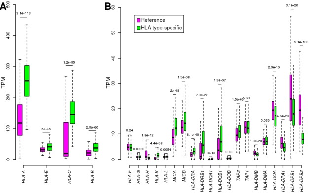 Figure 3—figure supplement 1.