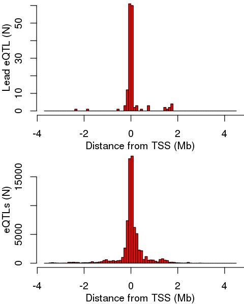 Figure 4—figure supplement 1.