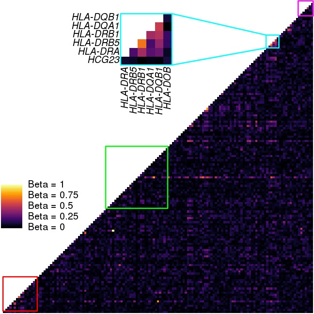 Figure 7—figure supplement 1.