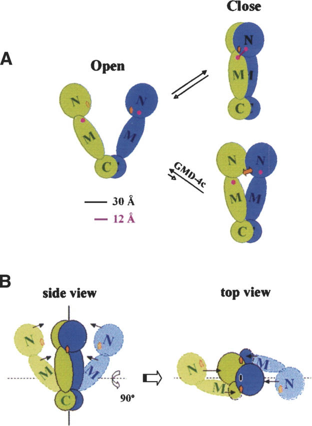 Figure 7.