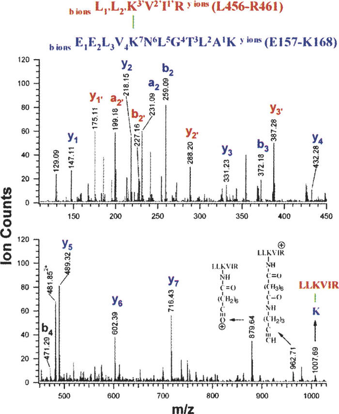 Figure 5.