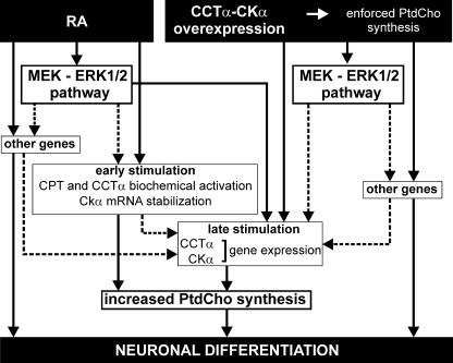 FIGURE 9.