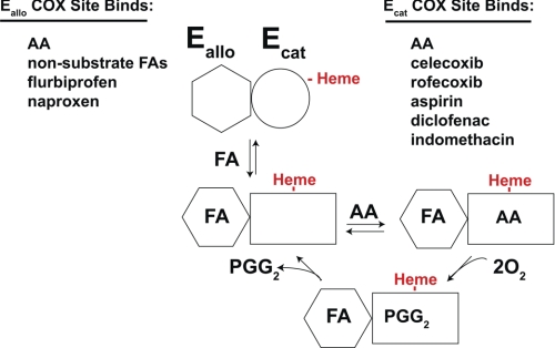 FIGURE 9.