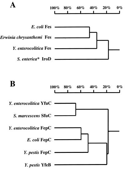 FIG. 7