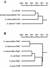 FIG. 7