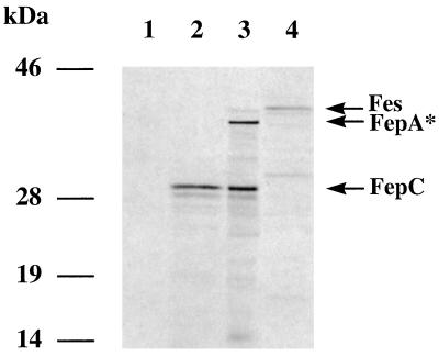 FIG. 5