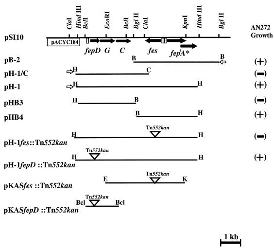 FIG. 1