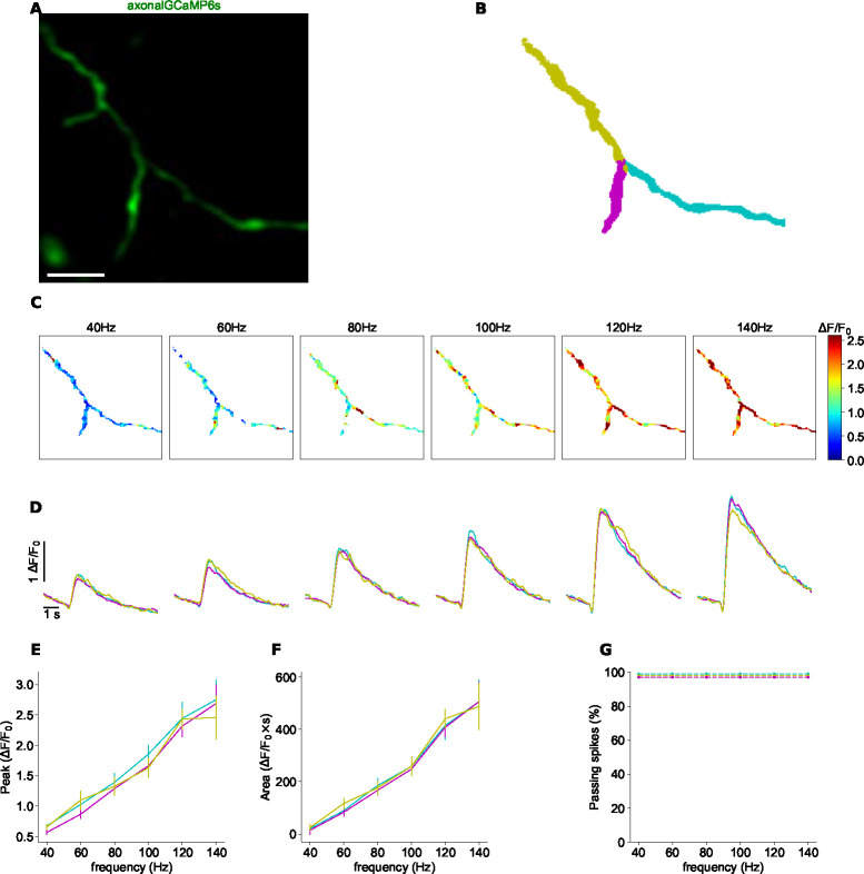 Figure 3.