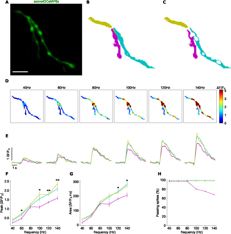 Figure 4.