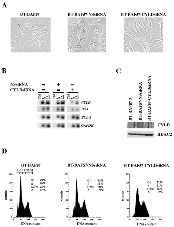 FIG. 7.