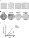 FIG. 2.