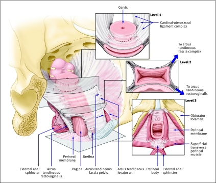 graphic file with name dosa481275.f1.jpg