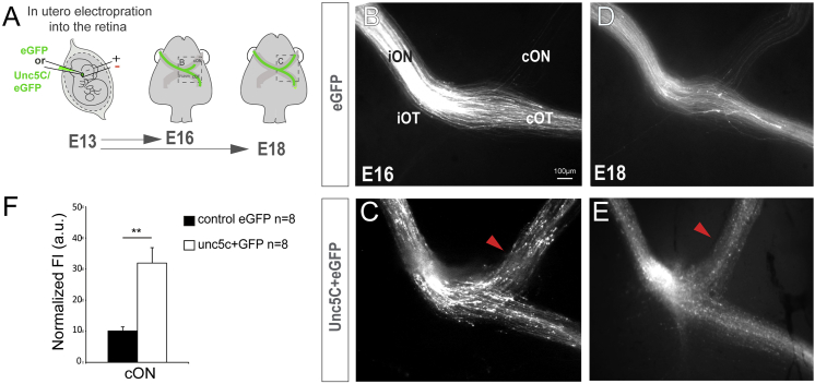 Figure 6