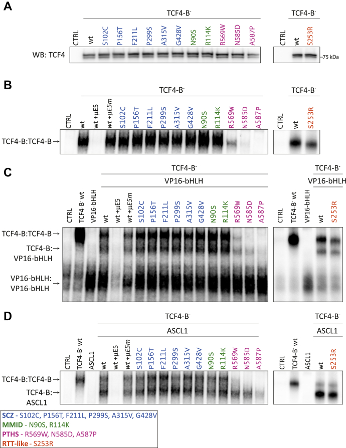 Figure 4