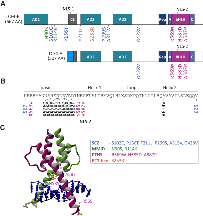 Figure 1