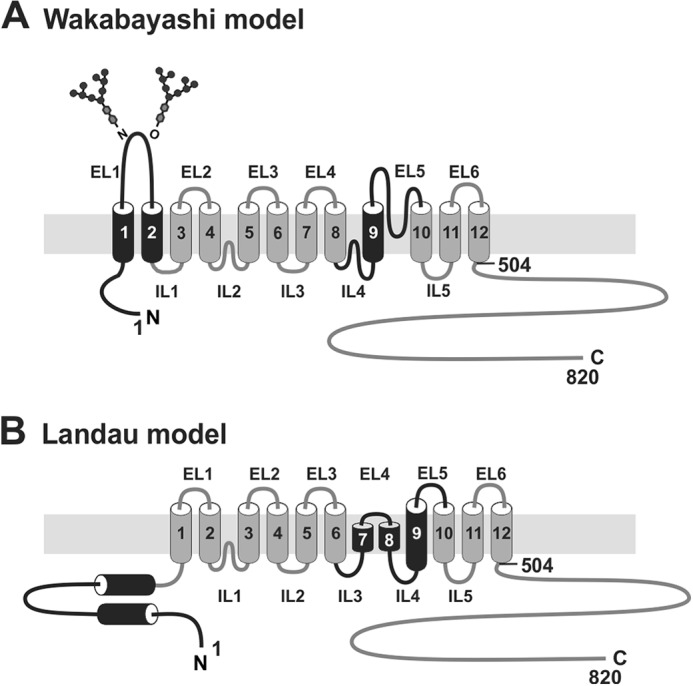 FIGURE 1.