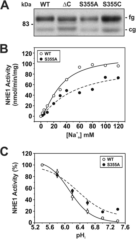 FIGURE 6.