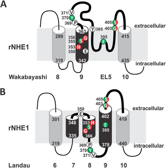 FIGURE 9.