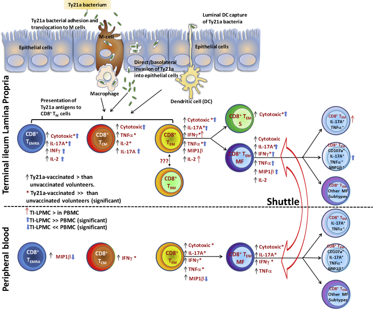 Figure 12