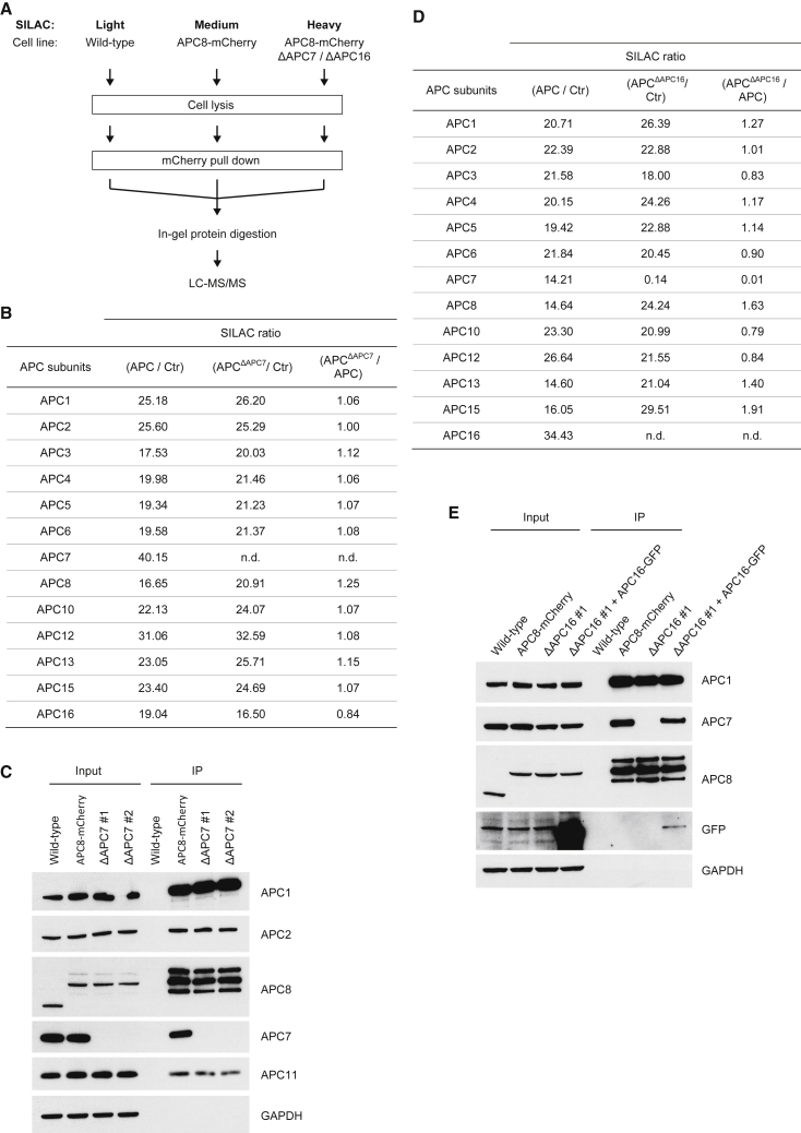 Figure 1