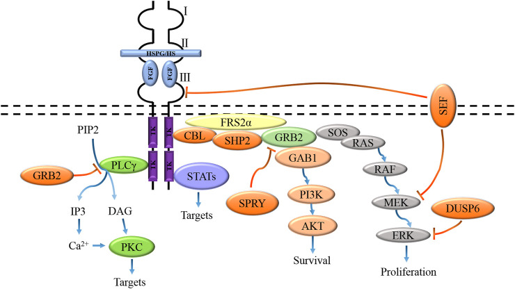 FIGURE 3