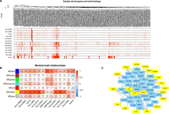 Singlecell Rna Sequencing Identify Sdcbp In Ace Positive Bronchial Epithelial Cells Negatively