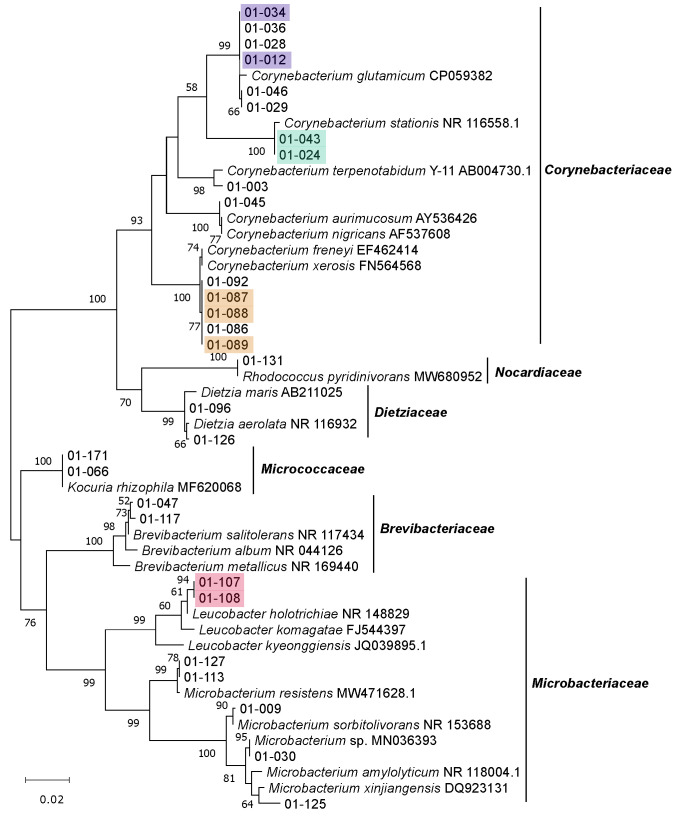 Figure 4