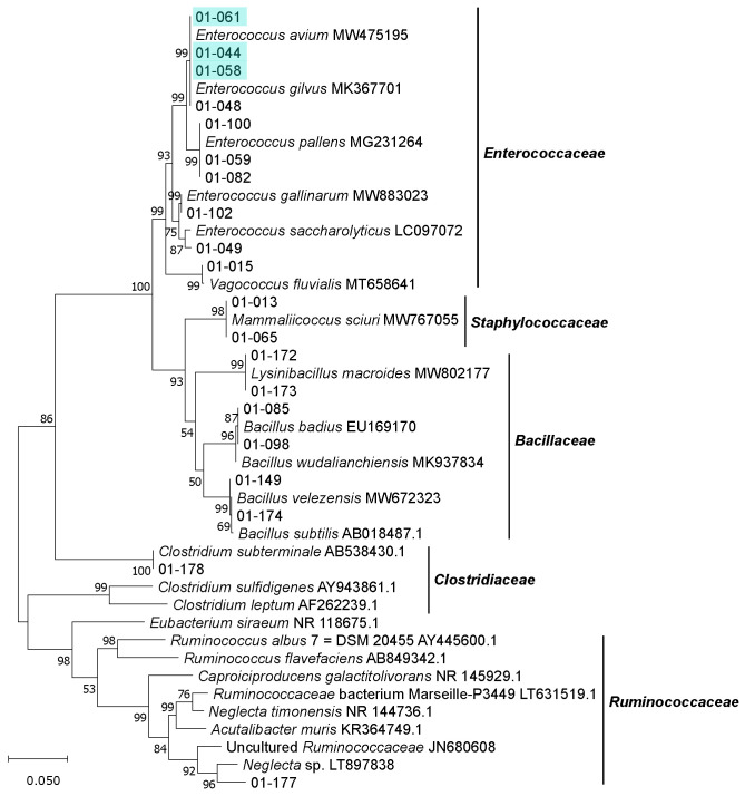 Figure 6