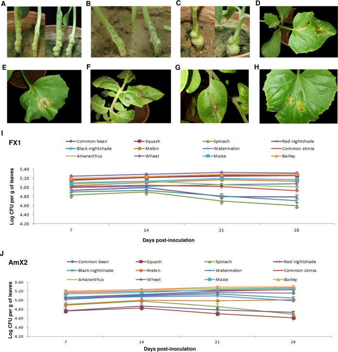 FIG 1