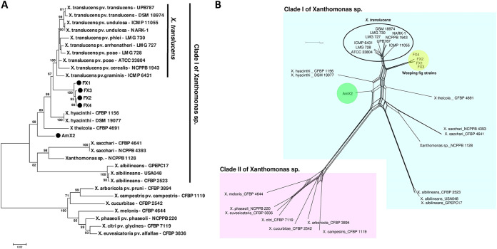 FIG 2