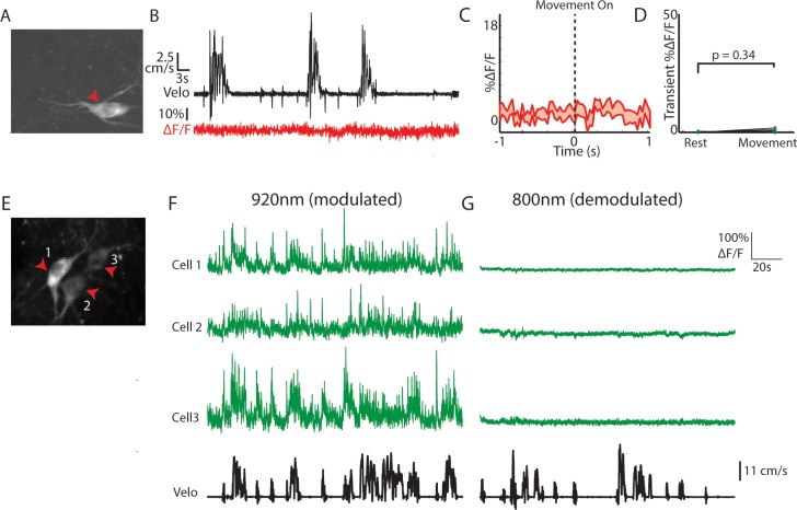 Figure 3—figure supplement 1.