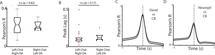 Figure 5—figure supplement 1.