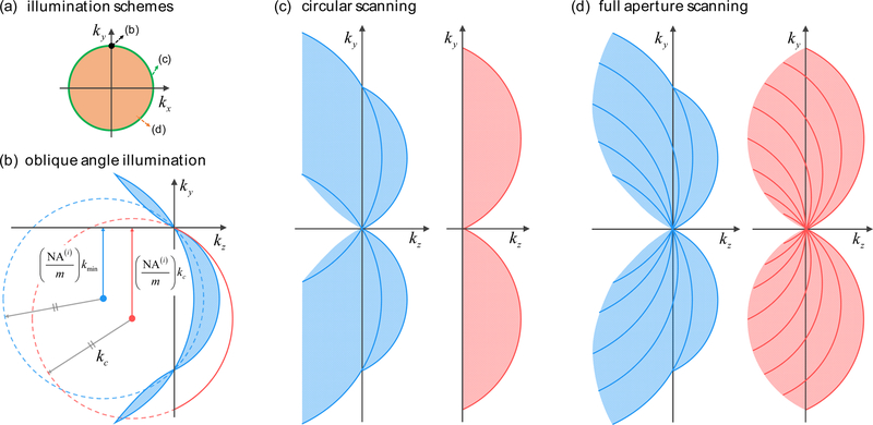 Fig. 5.