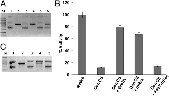 Fig. 2.