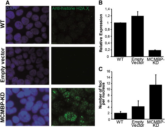 Figure 6