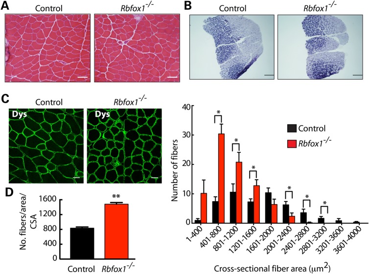 Figure 3.