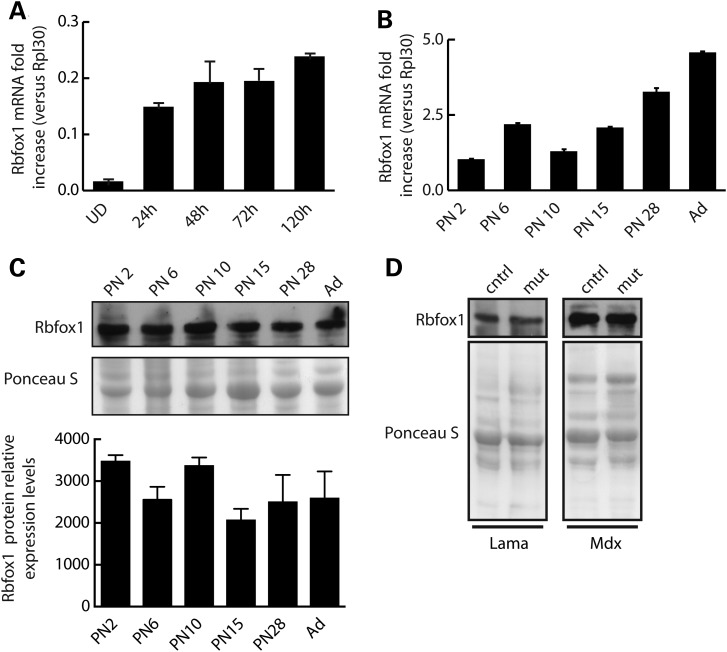 Figure 1.