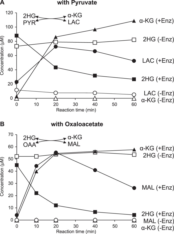 FIGURE 9.