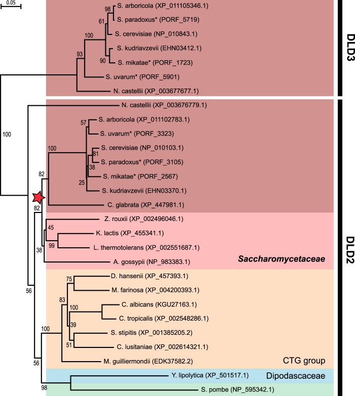 FIGURE 1.