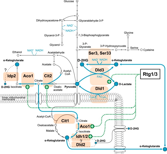 FIGURE 13.