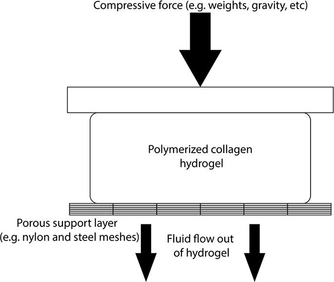 Fig. 11.