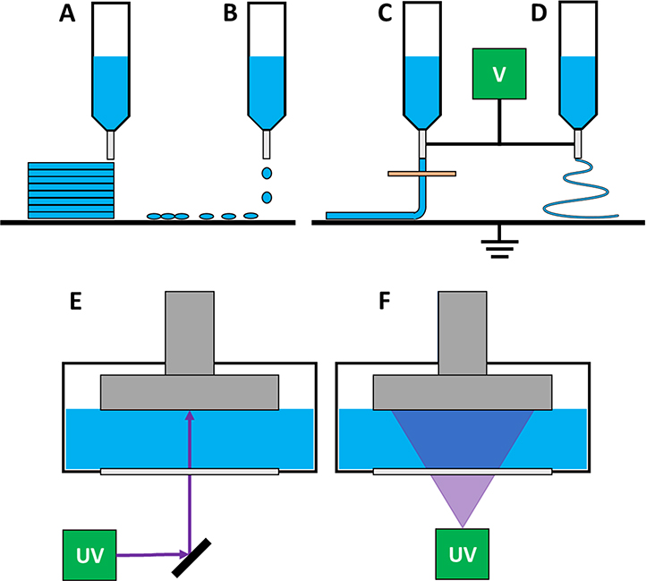 Fig. 10.