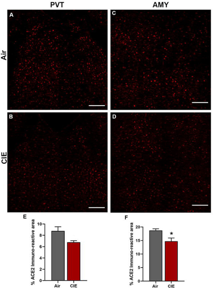 Figure 9: