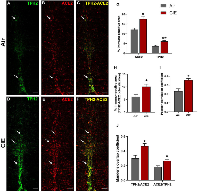 Figure 6: