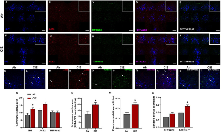 Figure 4: